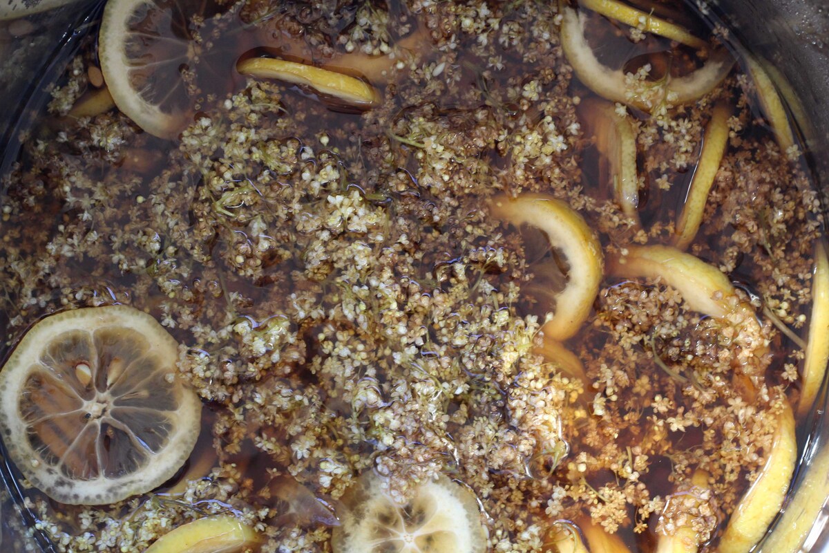 Hyldeblomstsaft