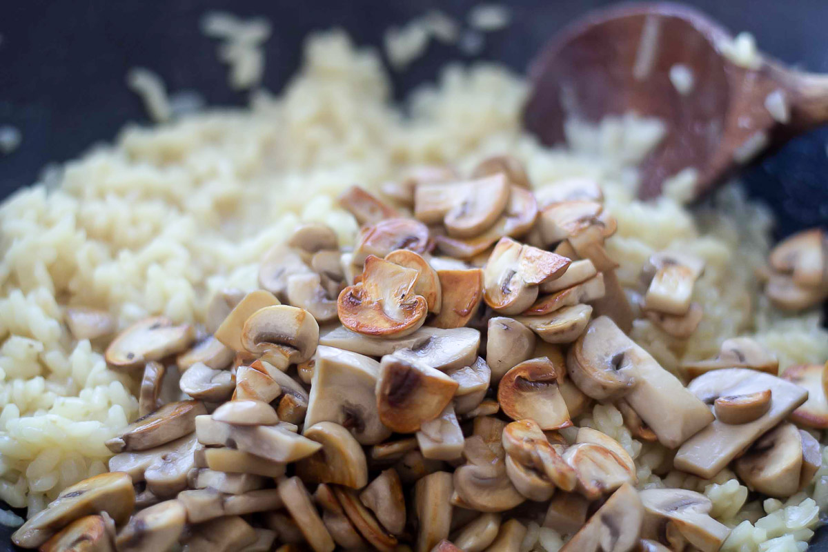 Risotto med svampe