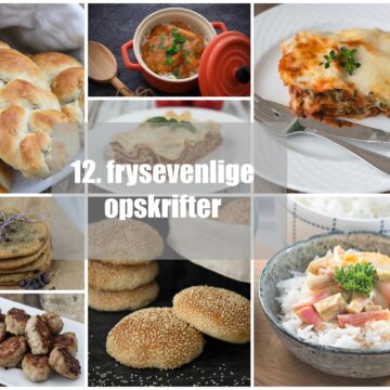 12 frysevenlige opskrifter