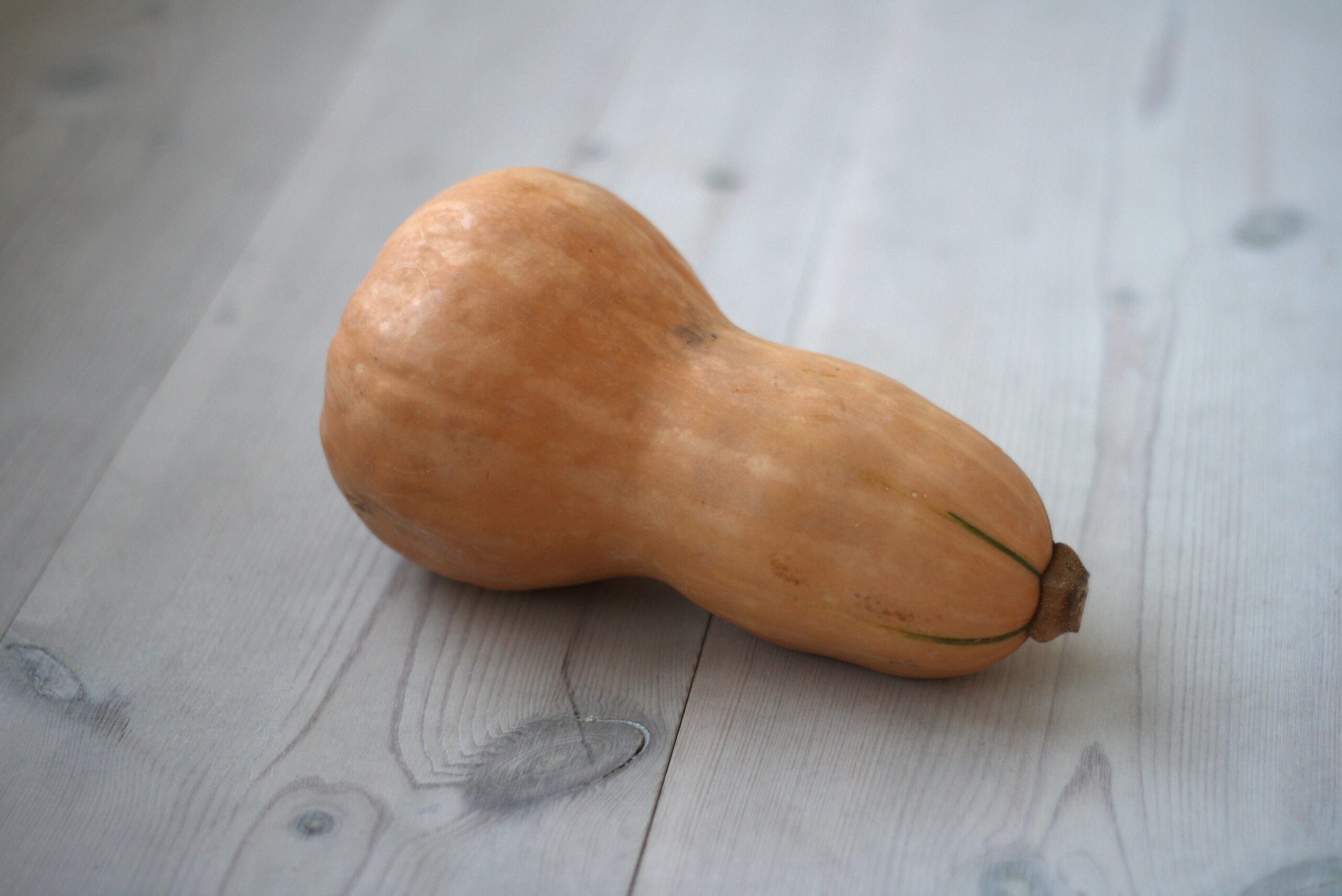 Butternut Squash