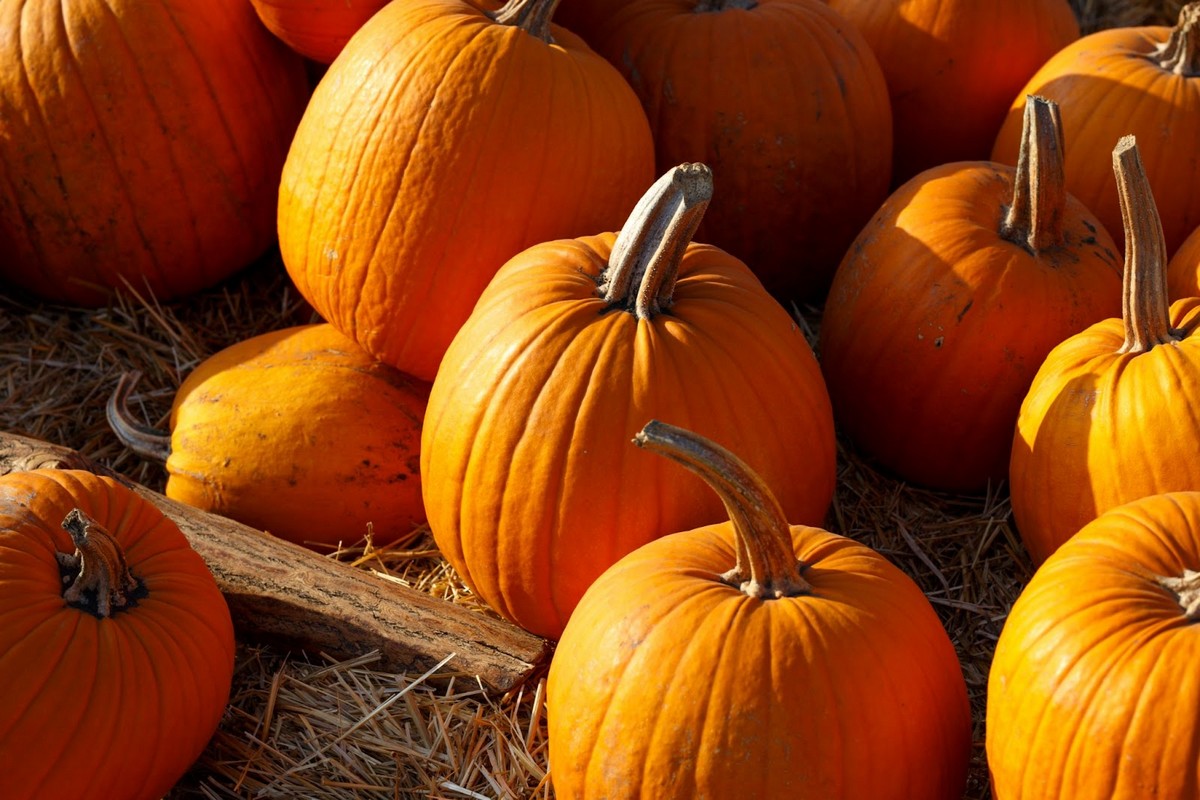 Halloween graeskar