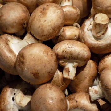Champignon
