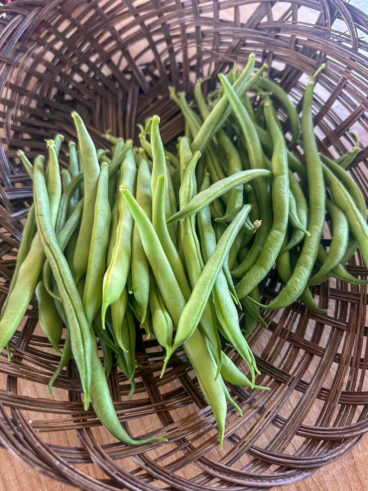 Koge grønne bønner - haricots verts