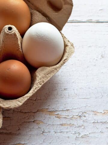 frilandsæg eller økologiske æg hvilke skal du vælge