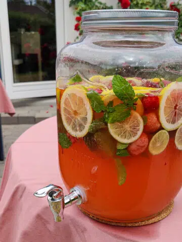Velkomstdrink med hyldeblomst og rabarber ()