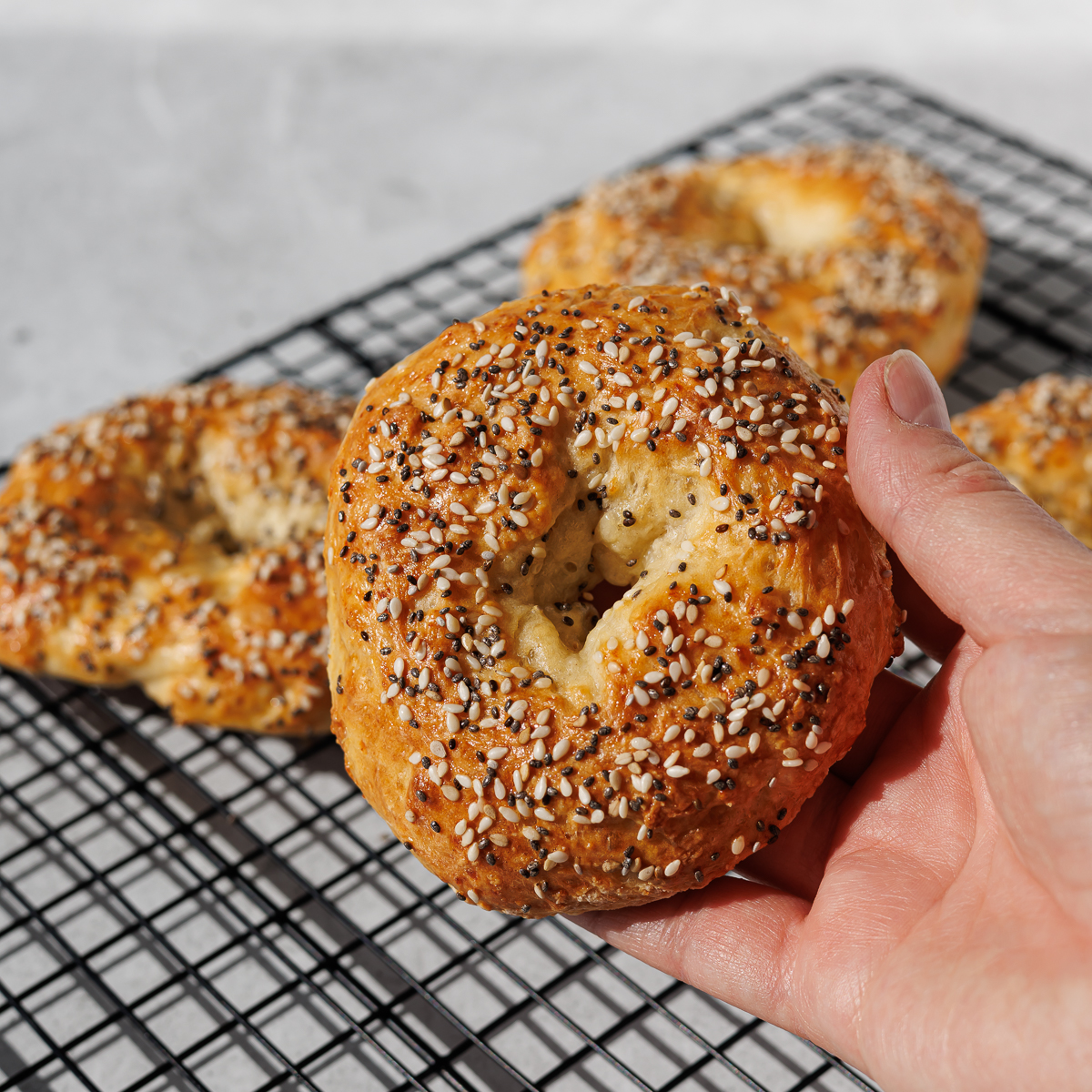 Protein bagels med hytteost