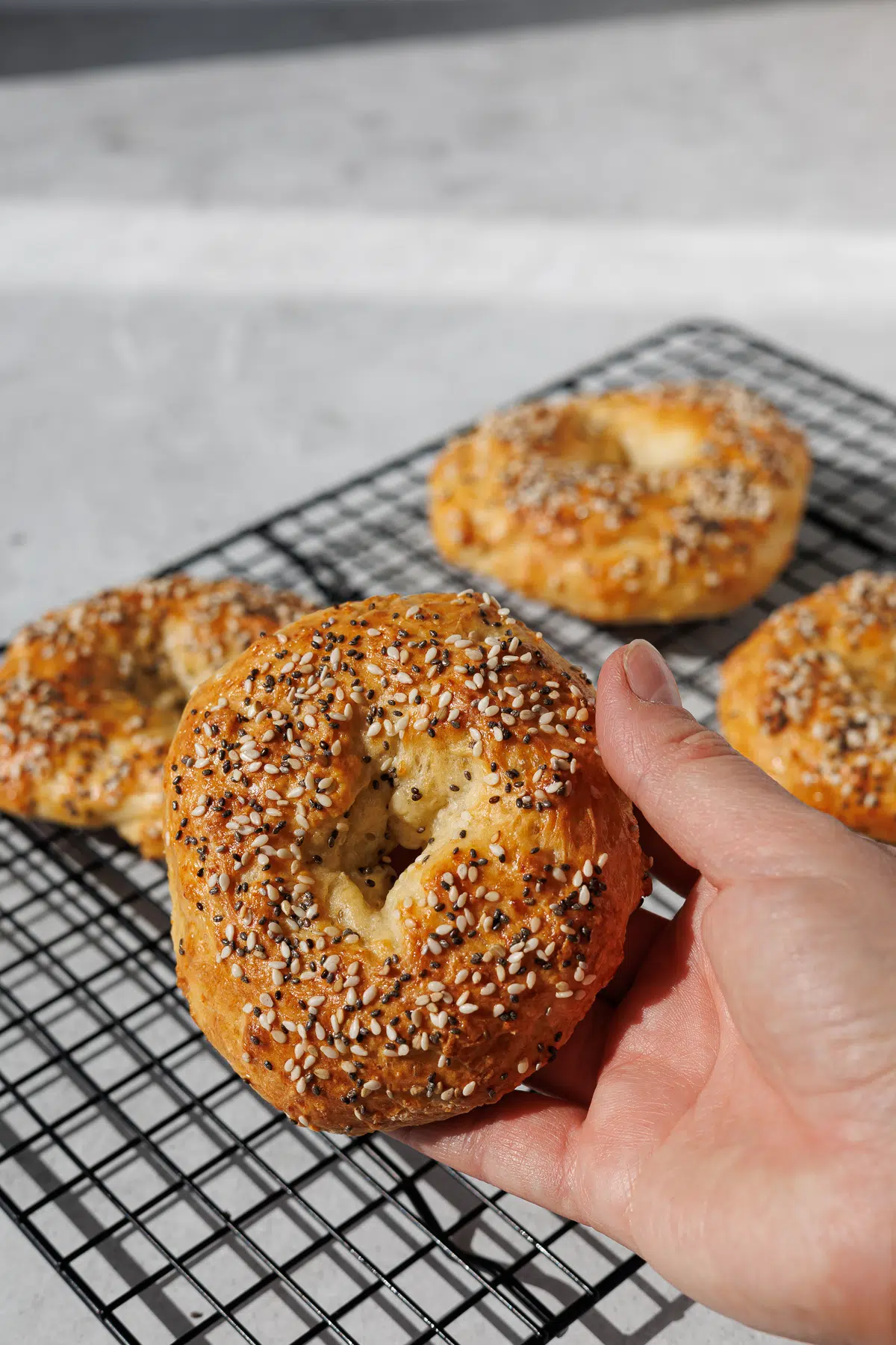 Protein bagels med hytteost ()